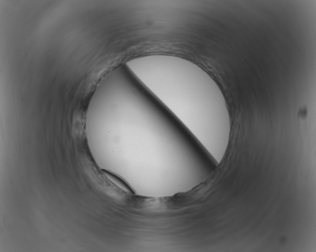 X0000116790335200912181100