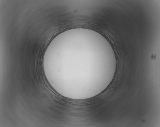 X0000116790336200912181100