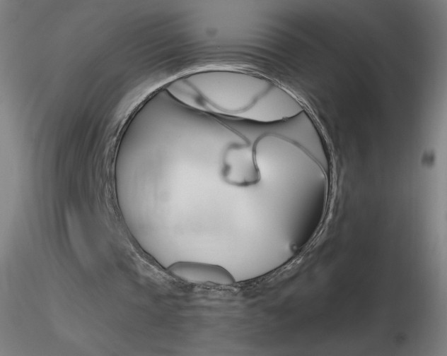X0000116790337200912181059
