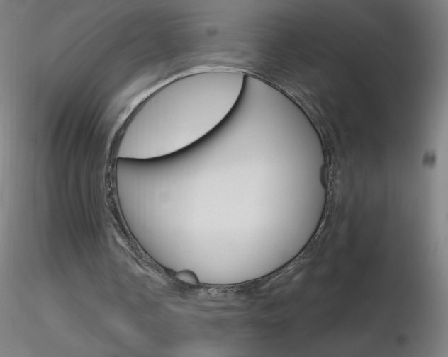 X0000116790338200912181059