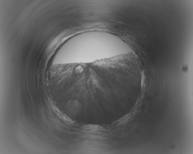 X0000116790339200912181059
