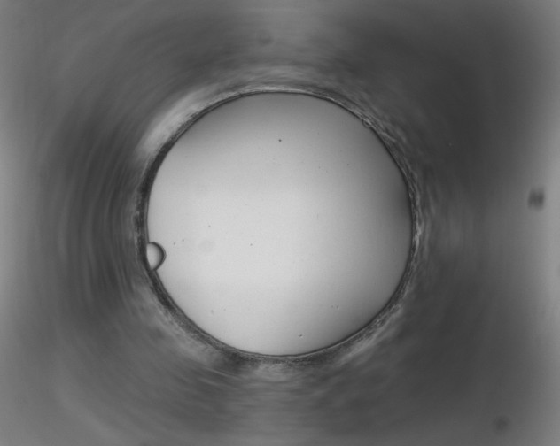 X0000116790341200912181100