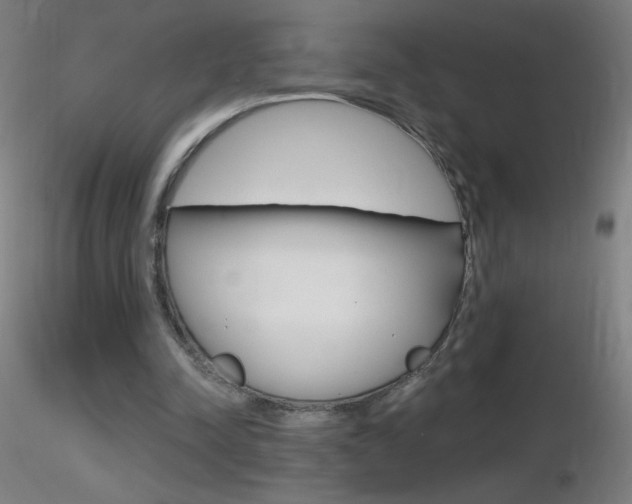 X0000116790342200912181100