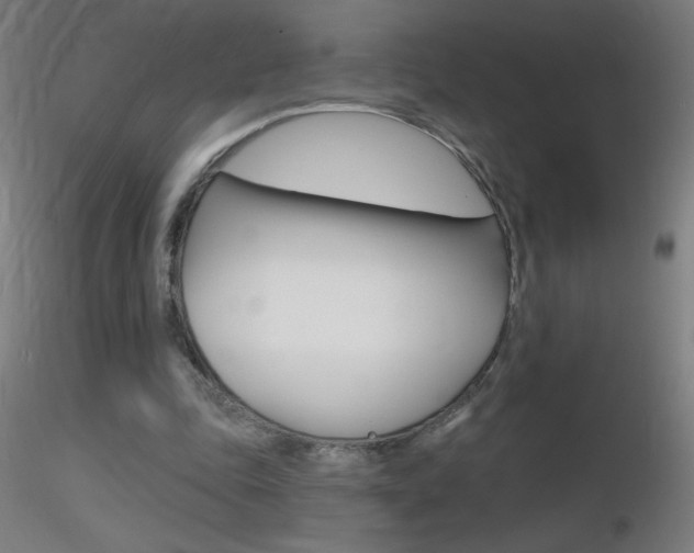 X0000116790343200912181100