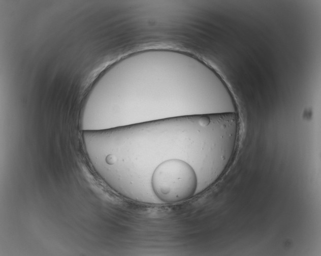 X0000116790345200912181100