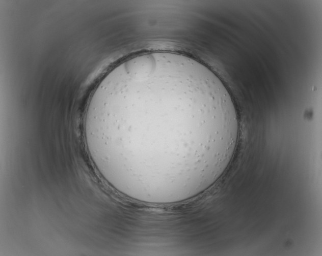 X0000116790347200912181100