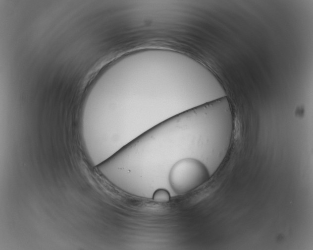 X0000116790349200912181100