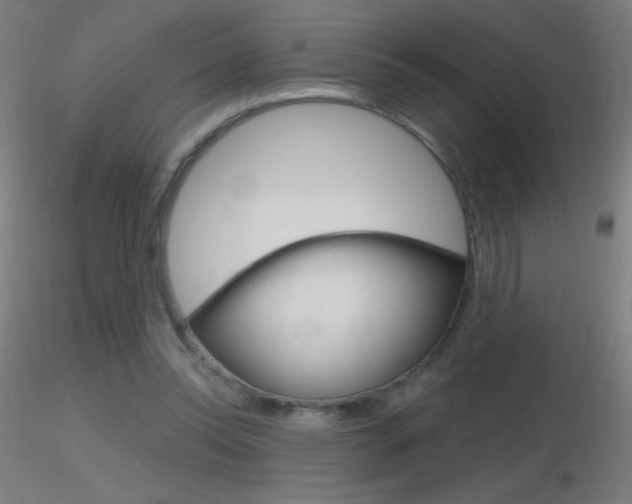 X0000116790350200912181100
