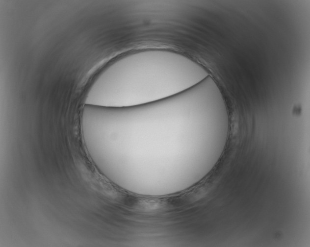 X0000116790351200912181100