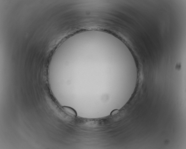 X0000116790353200912181100