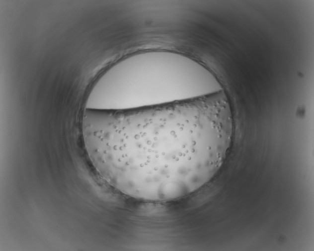 X0000116790354200912181100