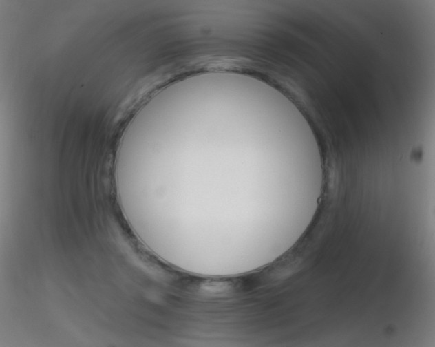 X0000116790357200912181100