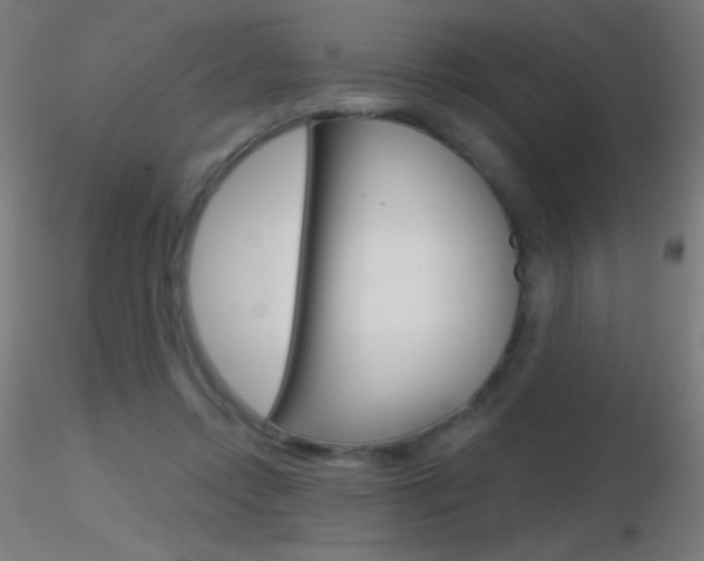 X0000116790358200912181100