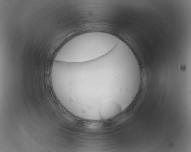 X0000116790359200912181100