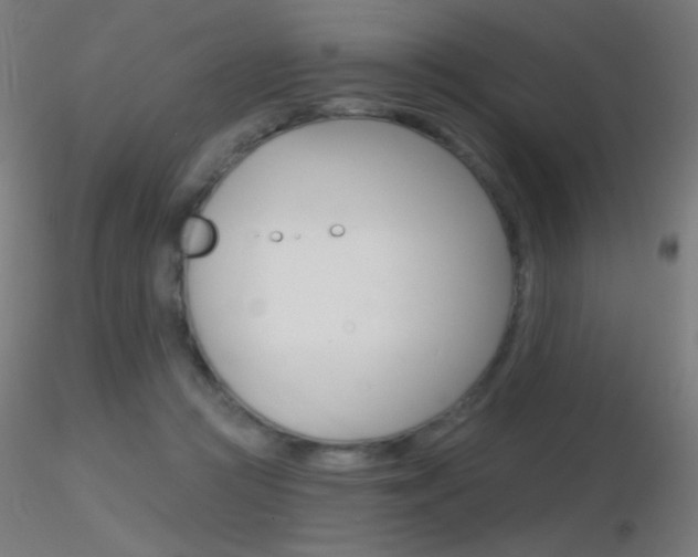 X0000116790361200912181100