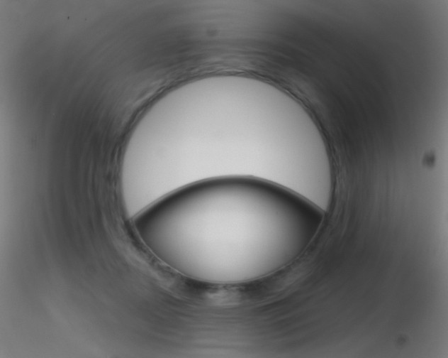 X0000116790362200912181100