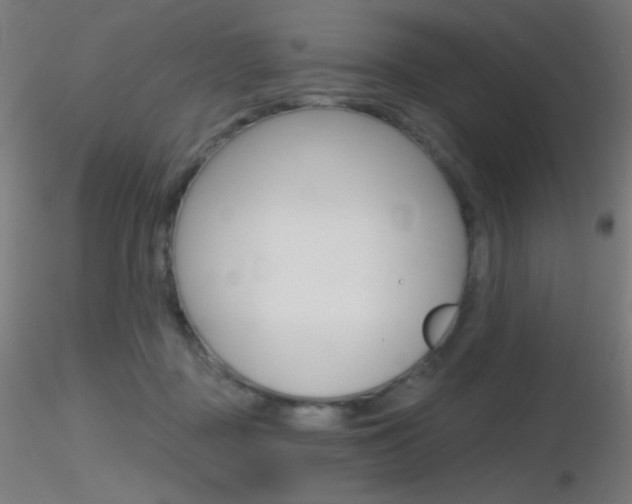 X0000116790363200912181100