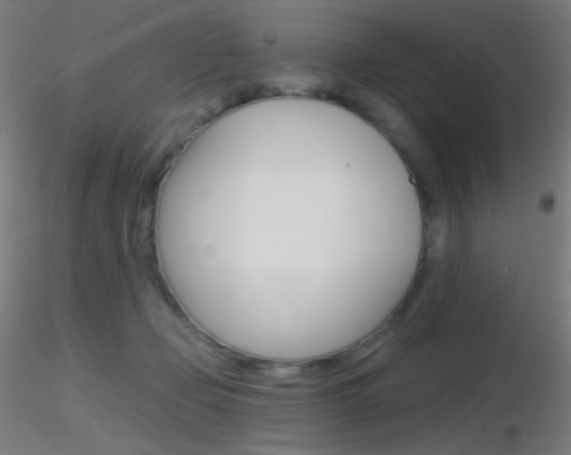 X0000116790365200912181100