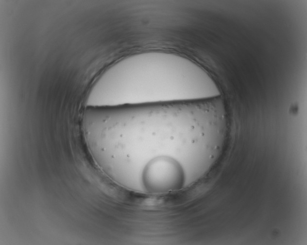 X0000116790366200912181100