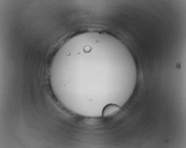 X0000116790367200912181100