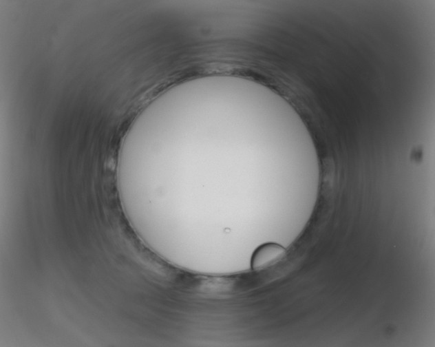 X0000116790369200912181100