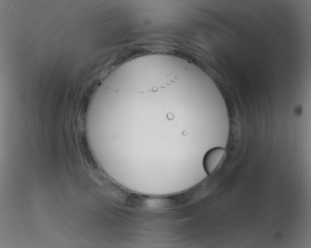 X0000116790371200912181100
