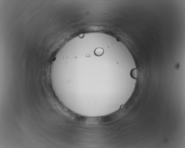 X0000116790373200912181100