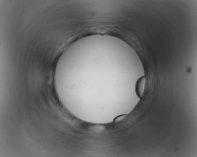 X0000116790374200912181100