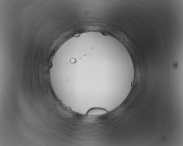 X0000116790377200912181100