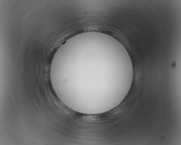 X0000116790378200912181100