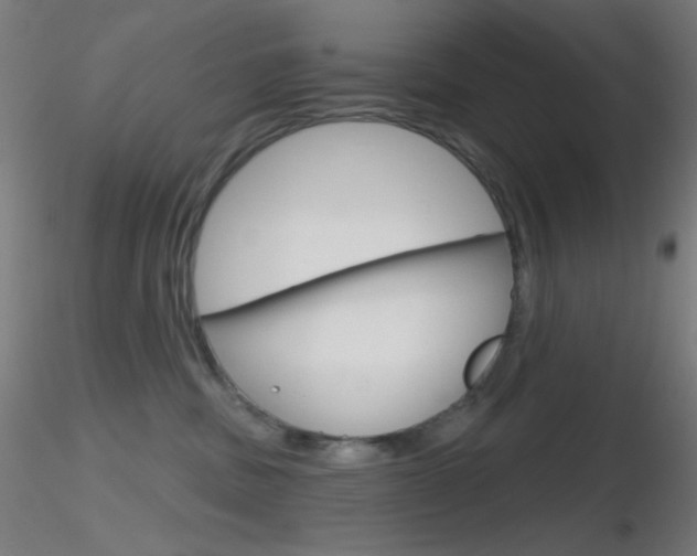 X0000116790379200912181100
