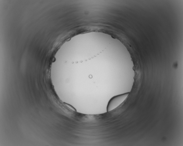 X0000116790381200912181100