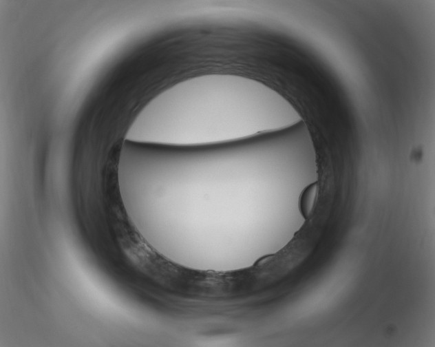 X0000116790383200912181100