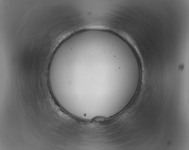 X0000116790385200912181059