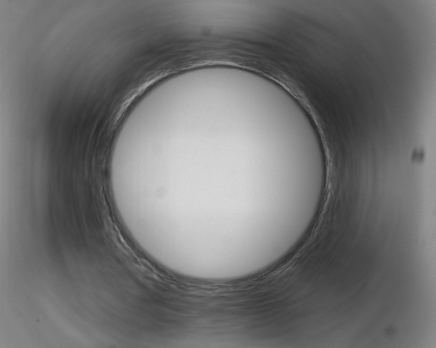 X0000116790386200912181059