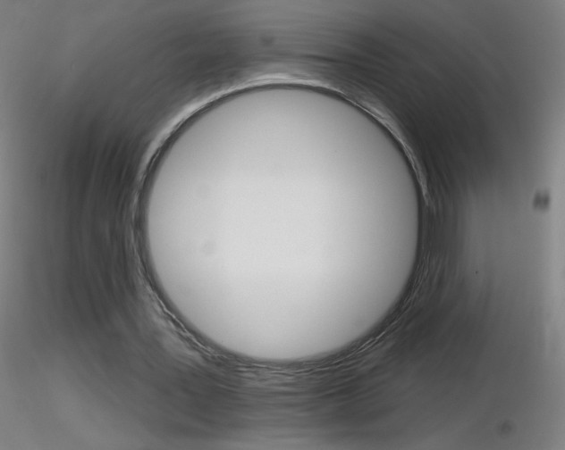 X0000116790387200912181059