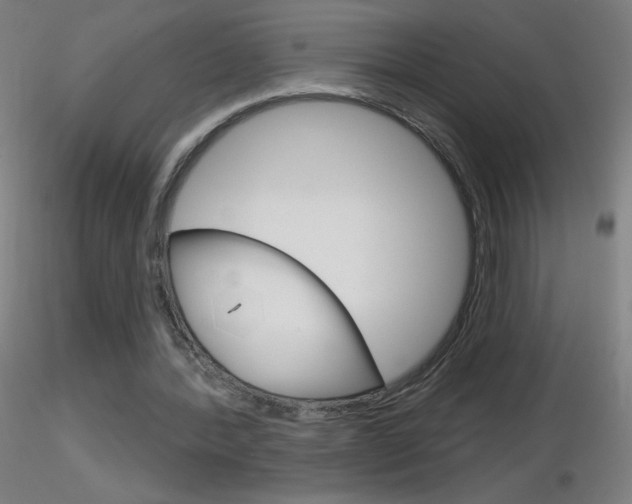 X0000116790388200912181059