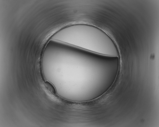 X0000116790389200912181059
