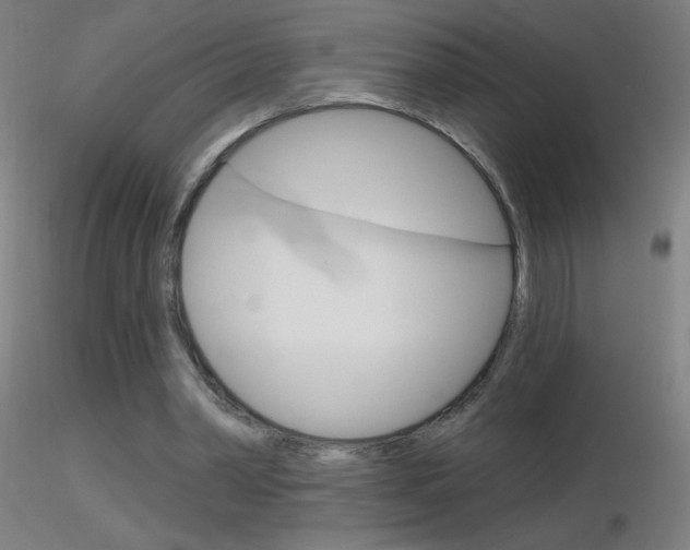 X0000116790390200912181059