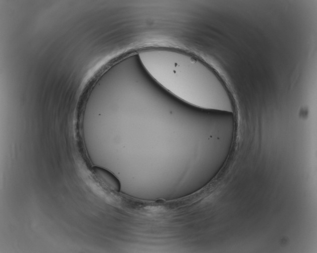 X0000116790391200912181059