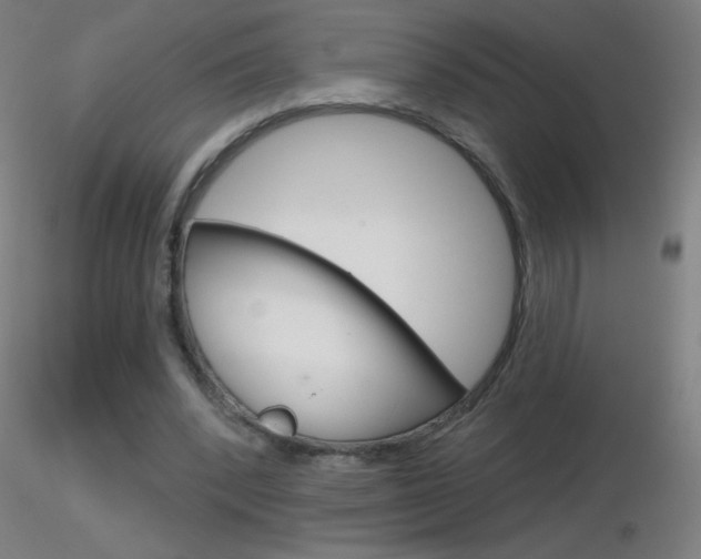 X0000116790392200912181059