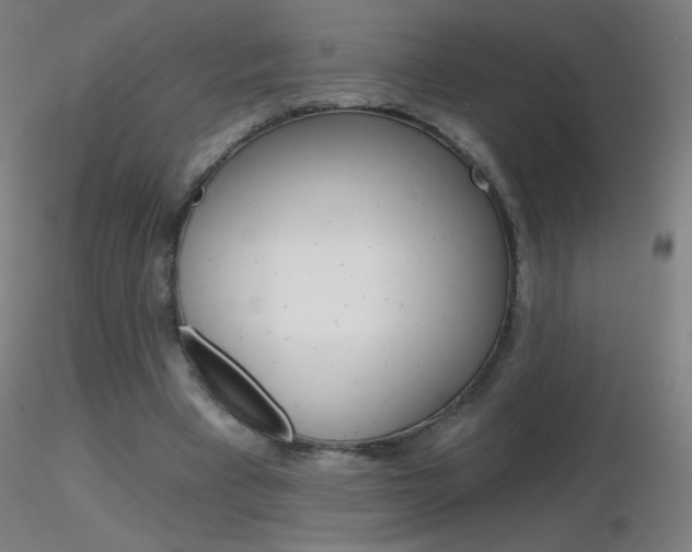 X0000116790393200912181059