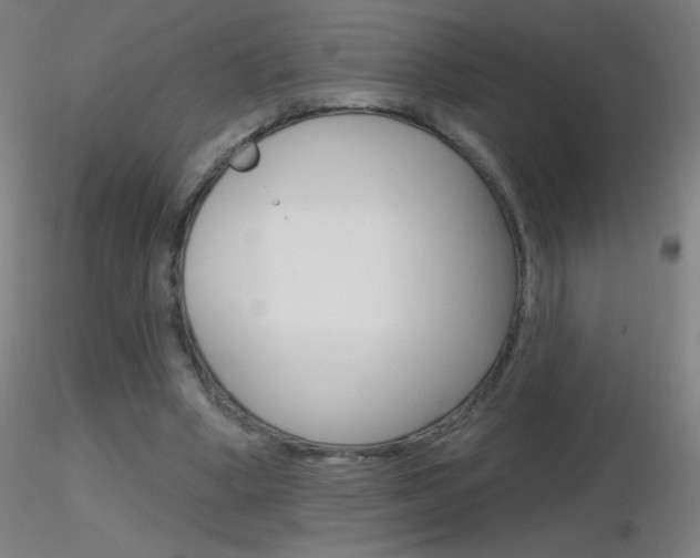 X0000116790394200912181059