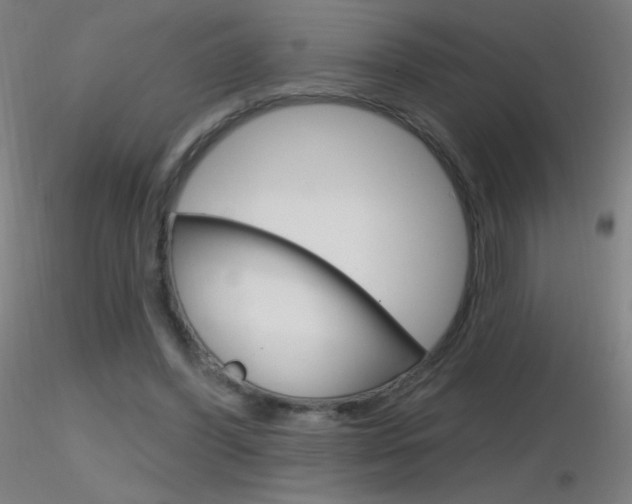 X0000116790396200912181059