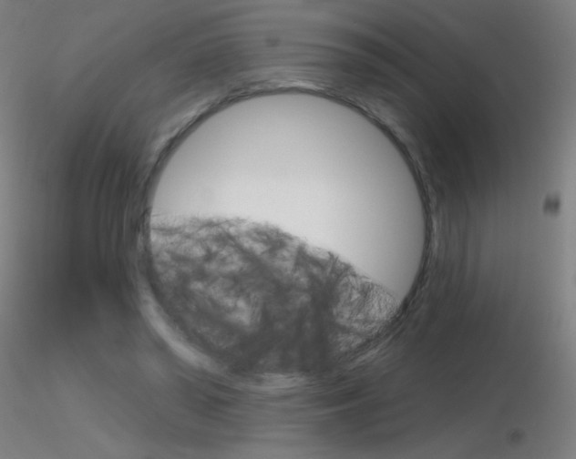 X0000116790398200912181059