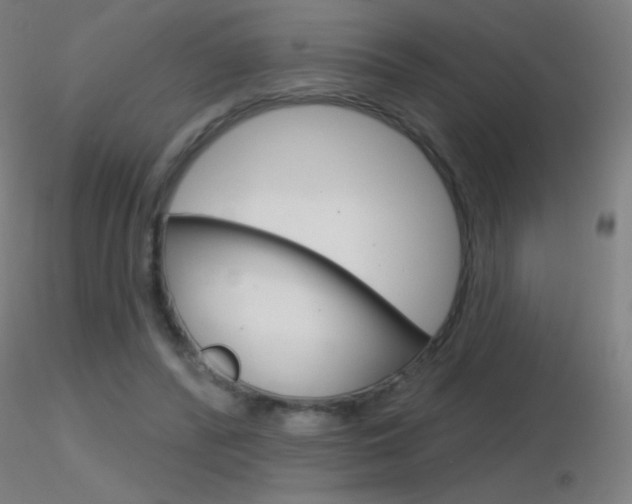 X0000116790400200912181059