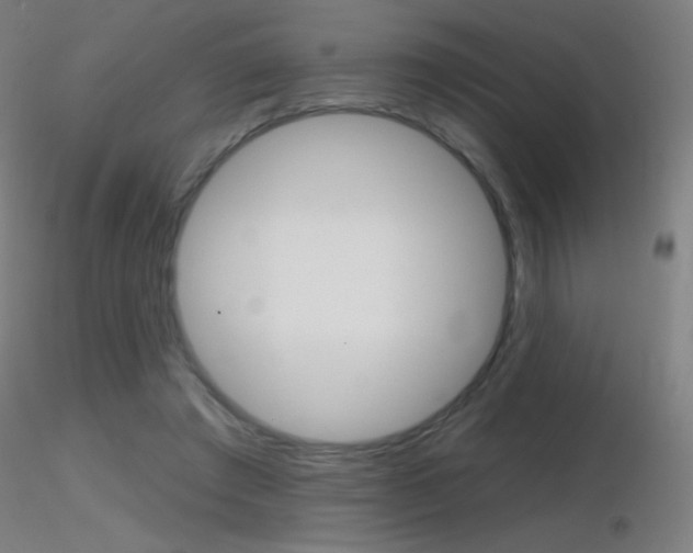 X0000116790401200912181059