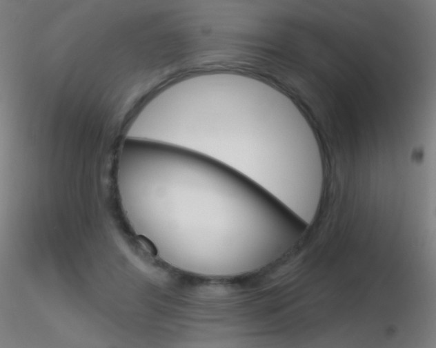 X0000116790404200912181059