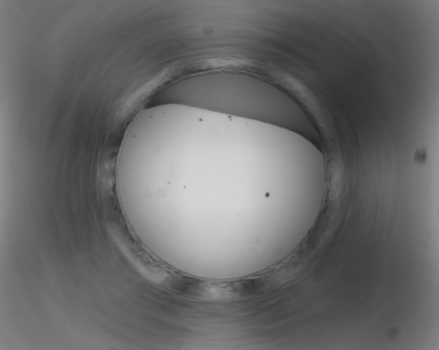 X0000116790405200912181059