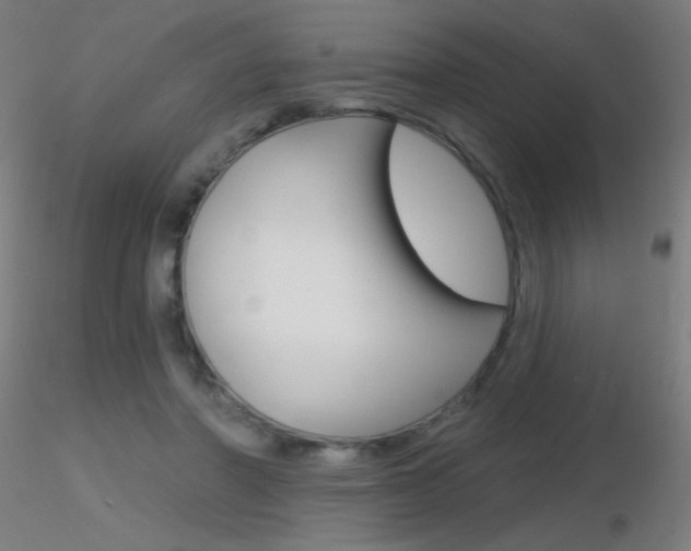 X0000116790406200912181059